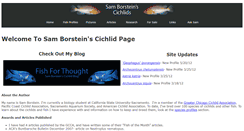 Desktop Screenshot of borstein.info