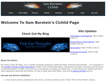 Tablet Screenshot of borstein.info